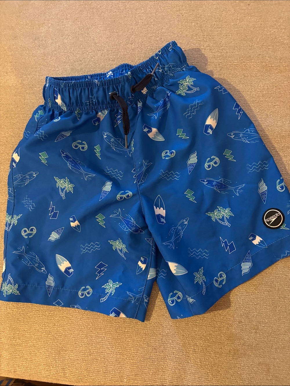 Speedo Blue Boys' Swim Shorts with Surf & Ice Cream Print